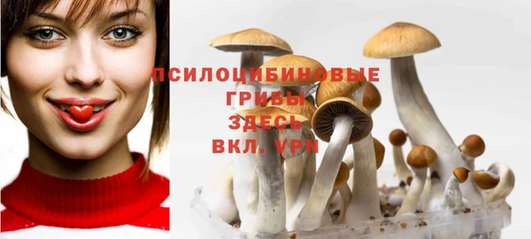 тгк Михайловск