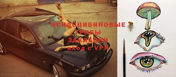 тгк Михайловск