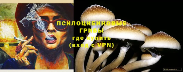 тгк Михайловск
