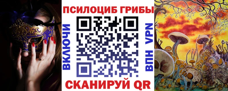 где продают наркотики  Иланский  Галлюциногенные грибы прущие грибы 